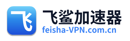 飞鲨VPN